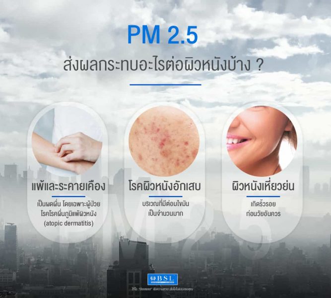 PM2.5 ฝุ่นเม็ดเล็กที่ส่งผลกระทบกับร่างกายของเราอย่างใหญ่หลวง